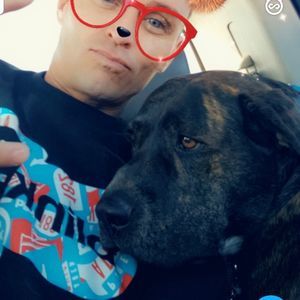 Meet your Posher, George